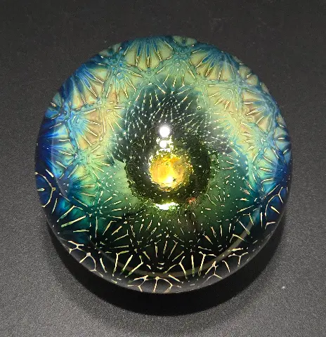Solar Bloom
