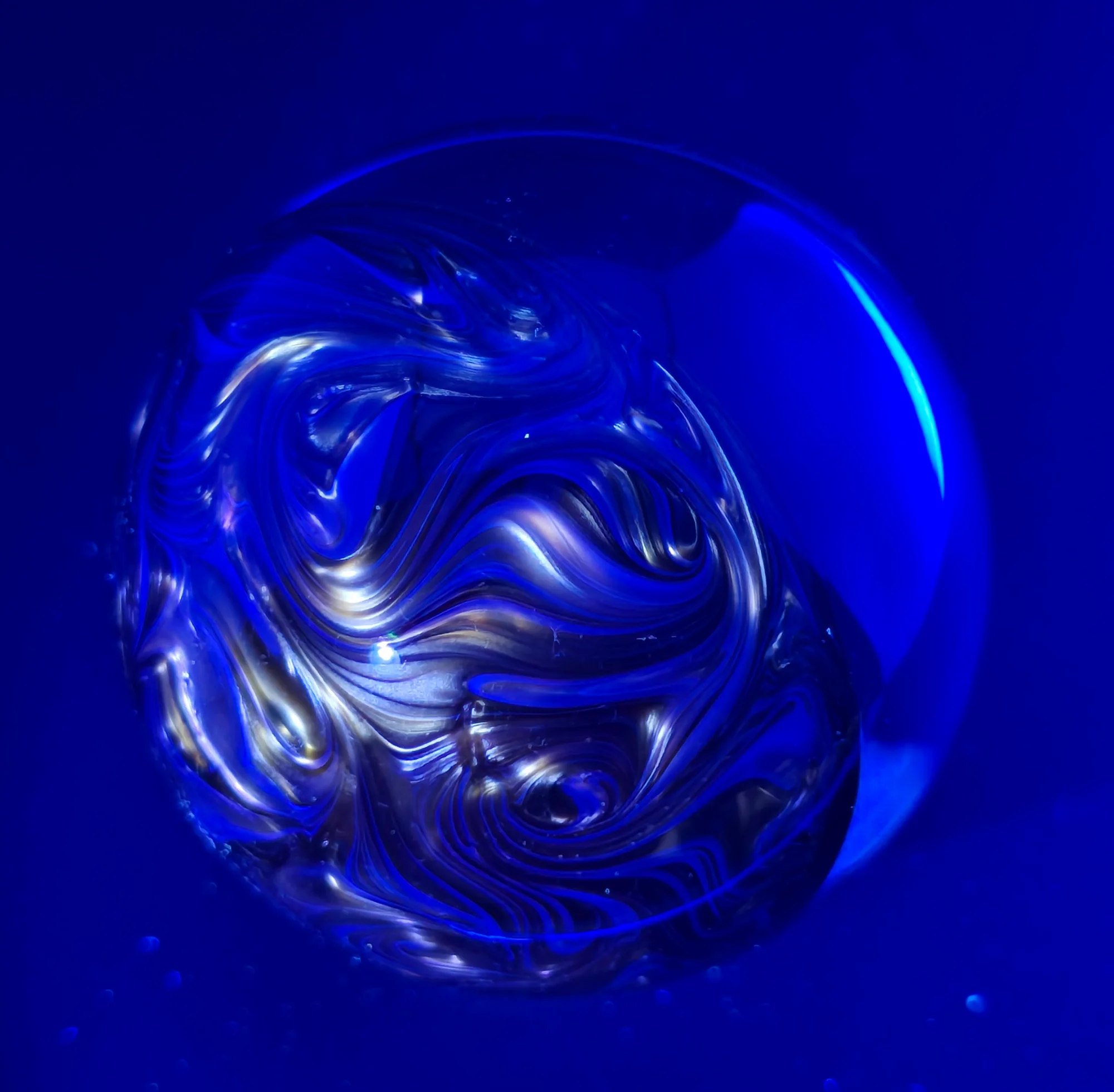 Solar Bloom