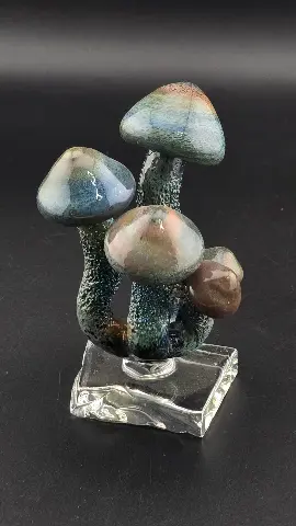 Mycelial Visions — view 2 of 2