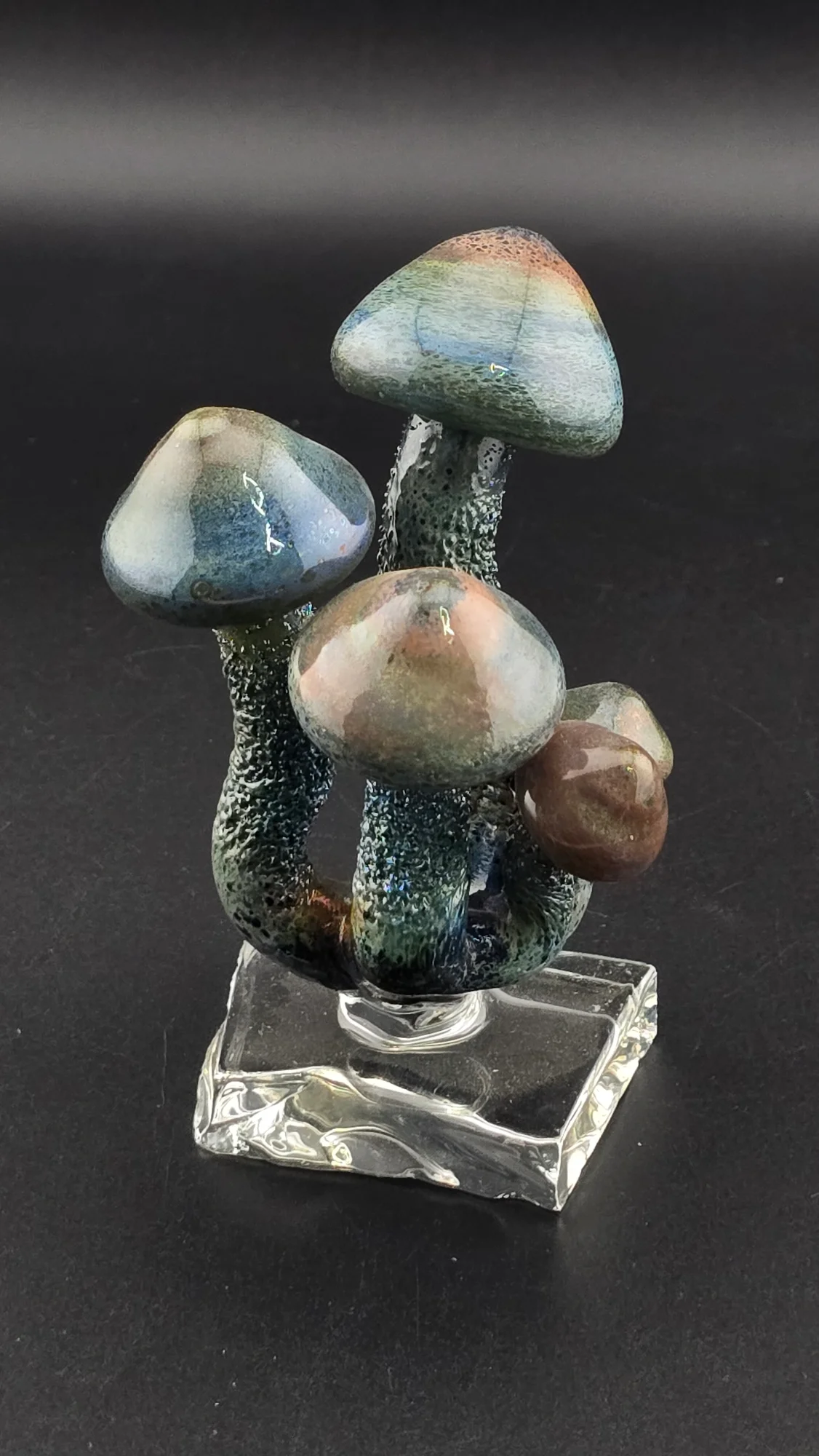 Mycelial Visions — view 2 of 2