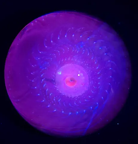 Tidal Eye — view 5
