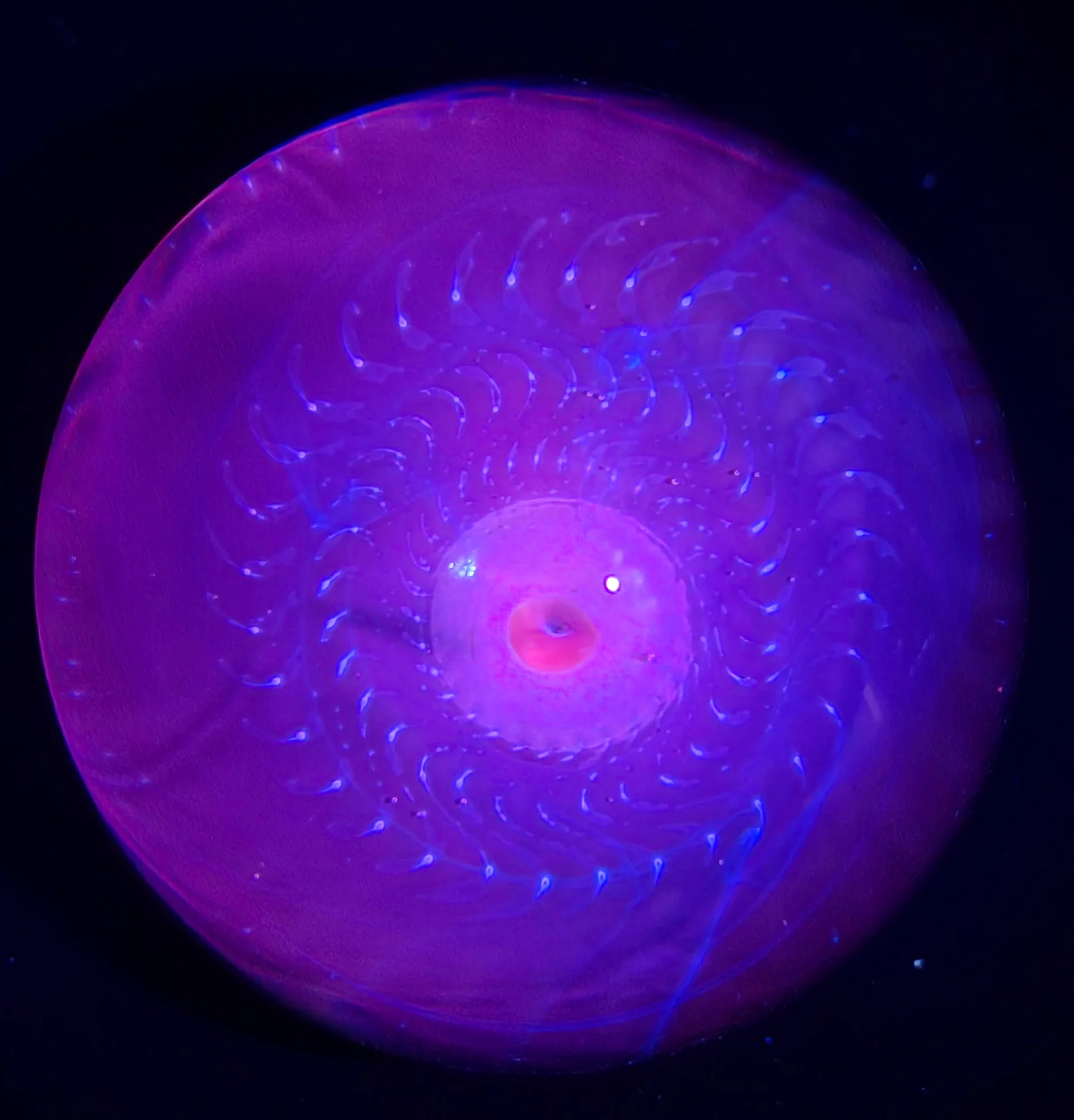 Tidal Eye