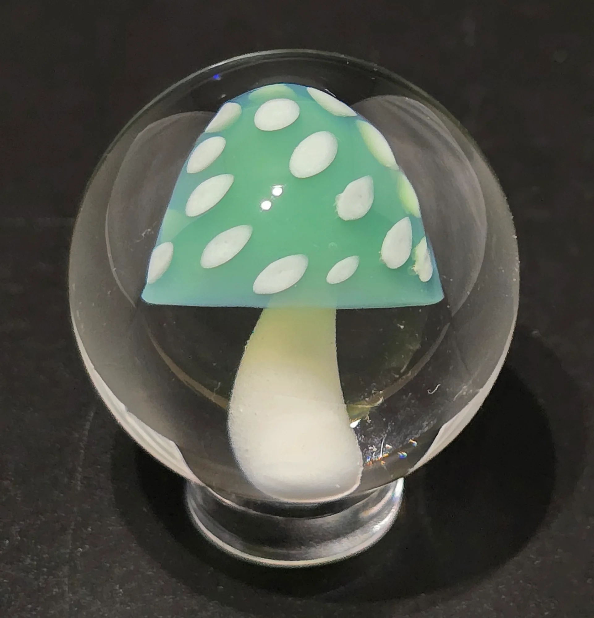 Enchanted Mushroom, a hand-blown glass marble by Jared Omas with a mint green cap and creamy white spots
