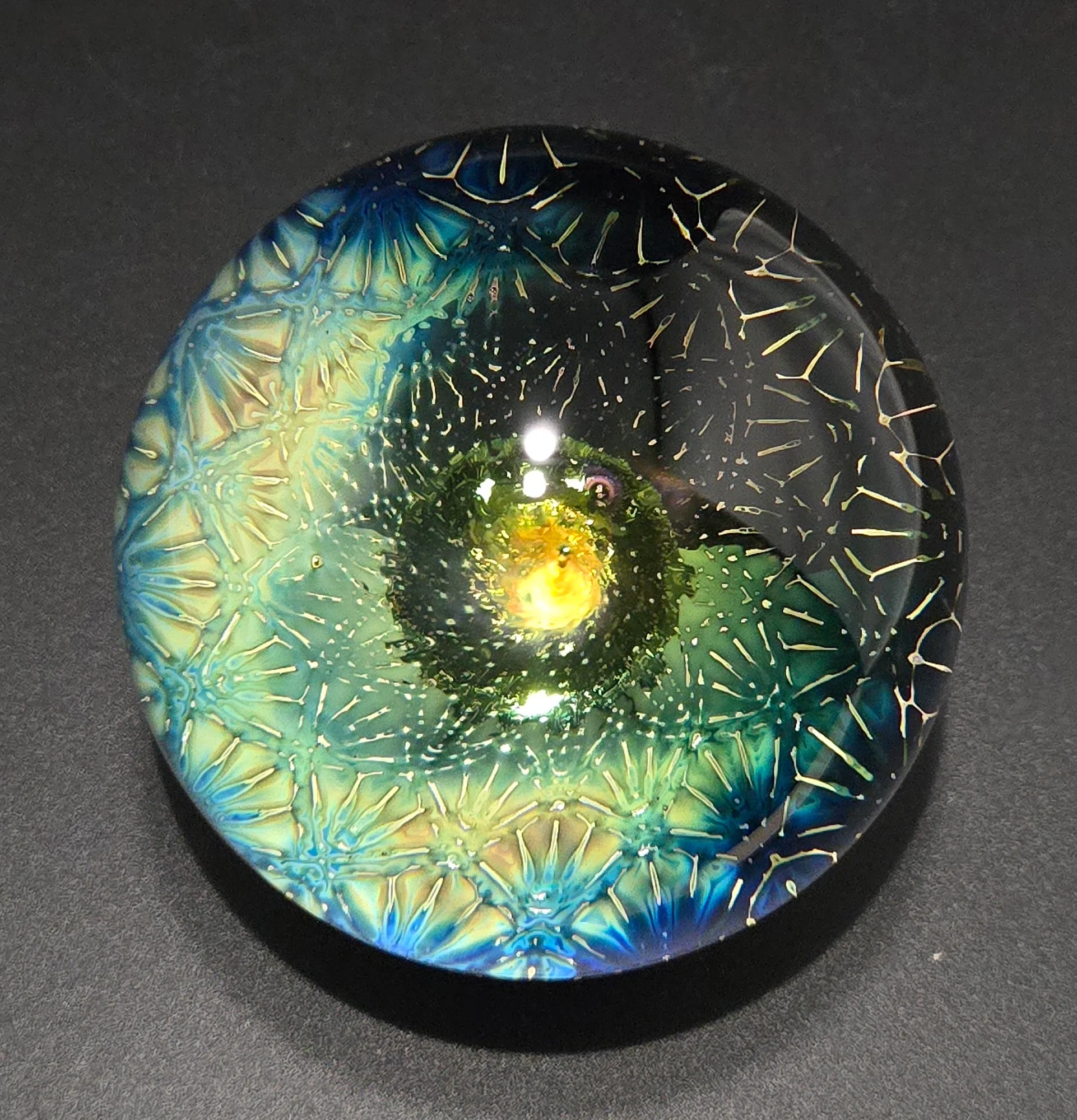 Solar Bloom
