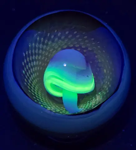 Spore Portal — view 2