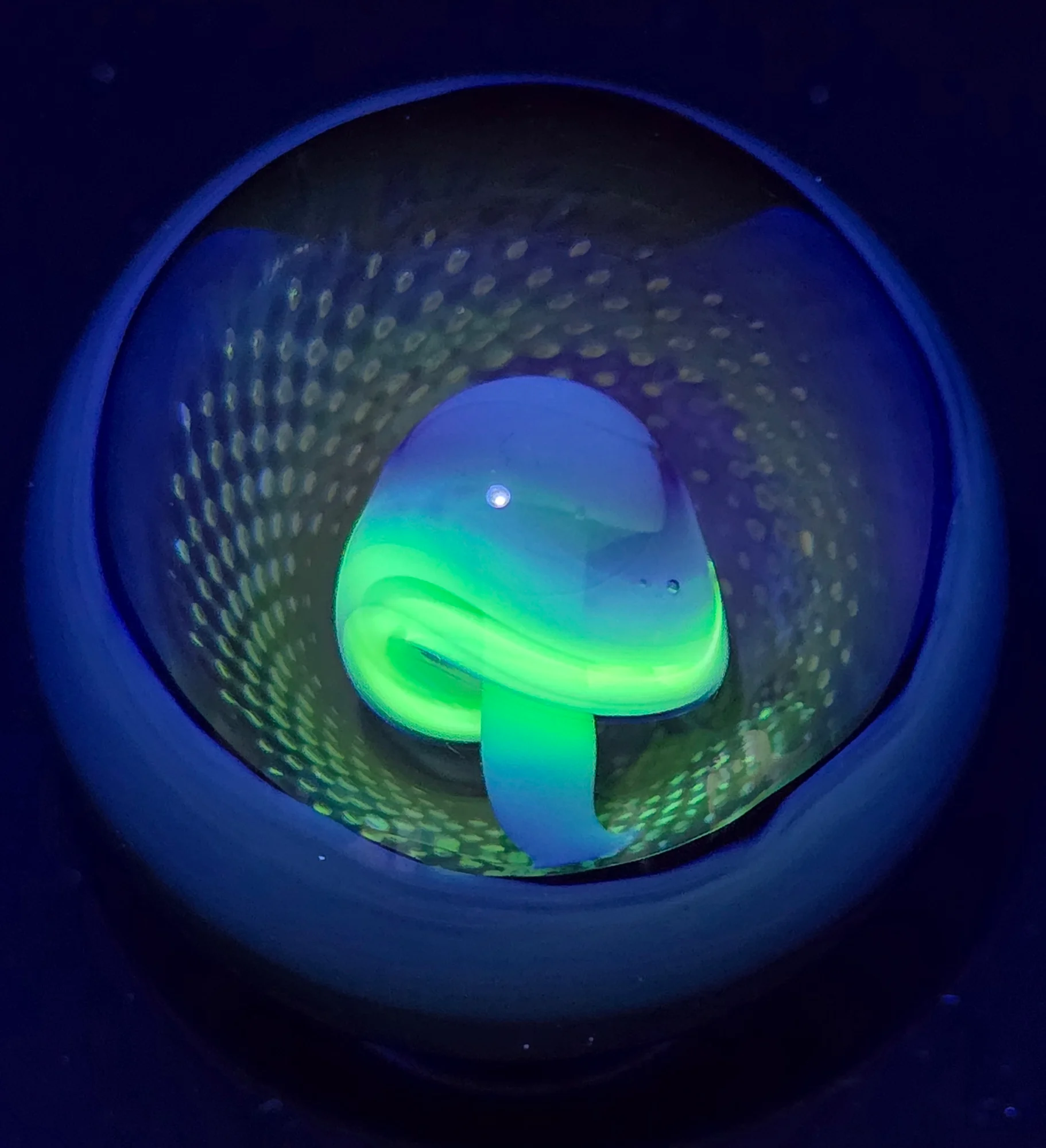 Spore Portal